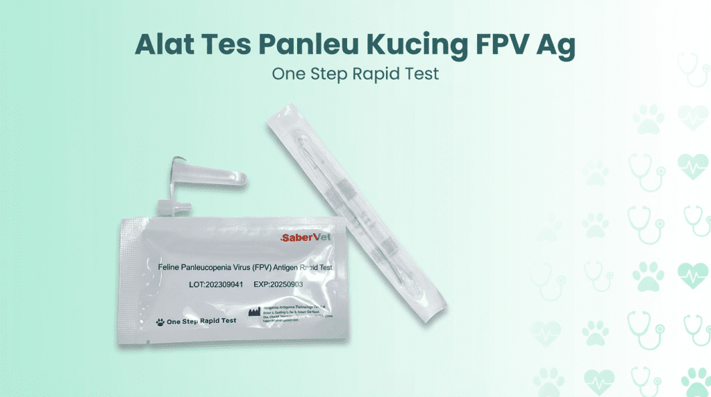 Mengenal Tes Panleu Kucing – Jenis, Harga, Akurasi, Cara Pakai (Lengkap)