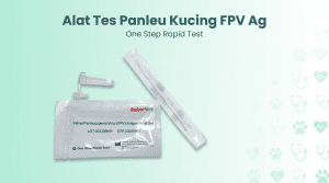 Mengenal Tes Panleu Kucing – Jenis, Harga, Akurasi, Cara Pakai (Lengkap)